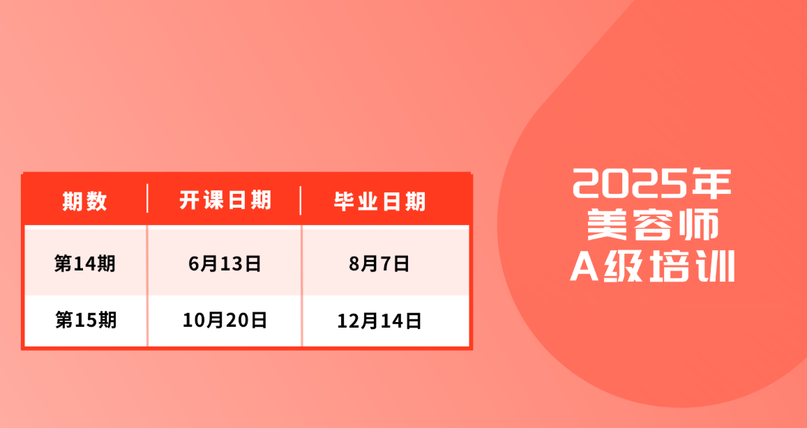 A级宠物美容师培训