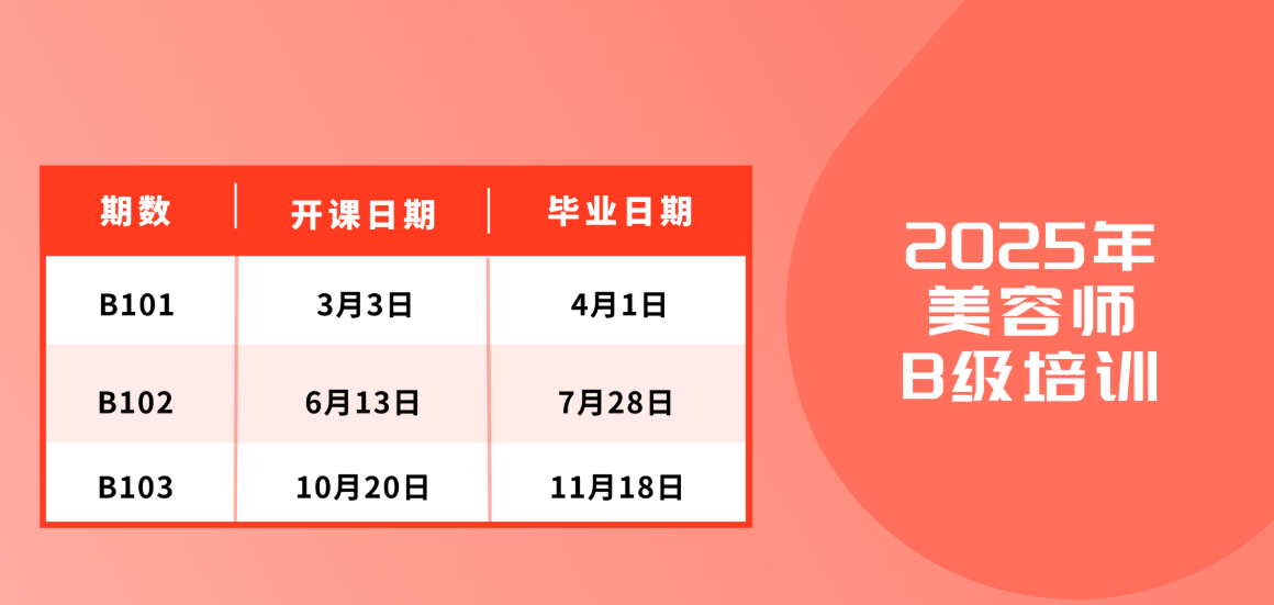 B级宠物美容师培训